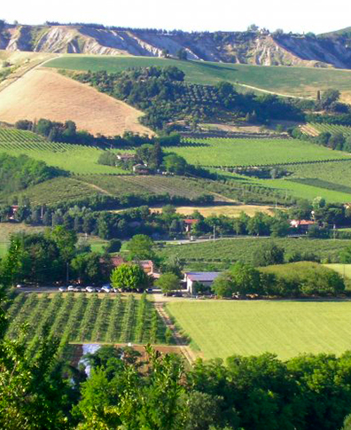 Riolo-Terme-CyclingHub-Agriturismo-Il-Gualdo-Riolo2