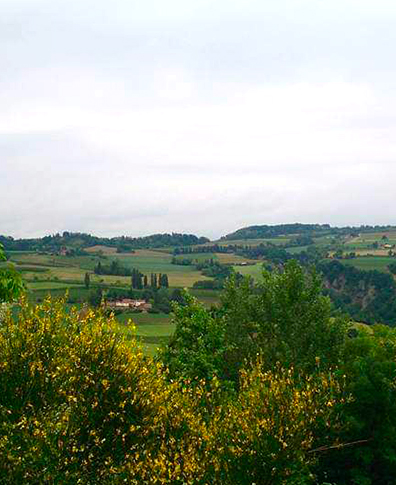 Riolo-Terme-CyclingHub-Agriturismo-la-Felce-2