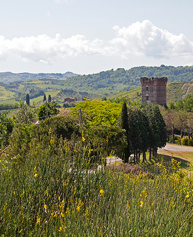 Riolo-Terme-CyclingHub-Torredelmarino2