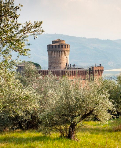 Riolo-Terme-CyclingHub-Brisighella2