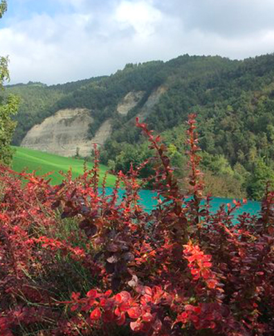 Riolo-Terme-CyclingHub-sentiero-1