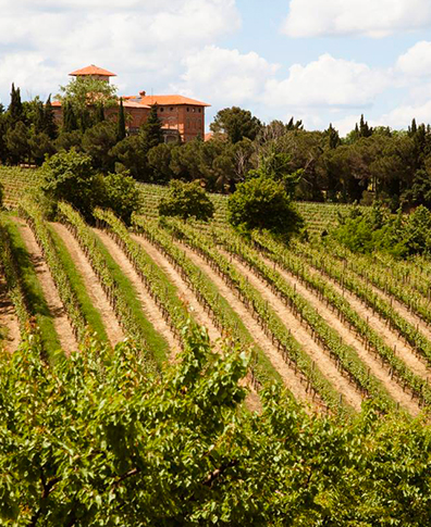 cycling-hub-cibo-e-vino-FATTORIA-DIDATTICA-QUINZAN2