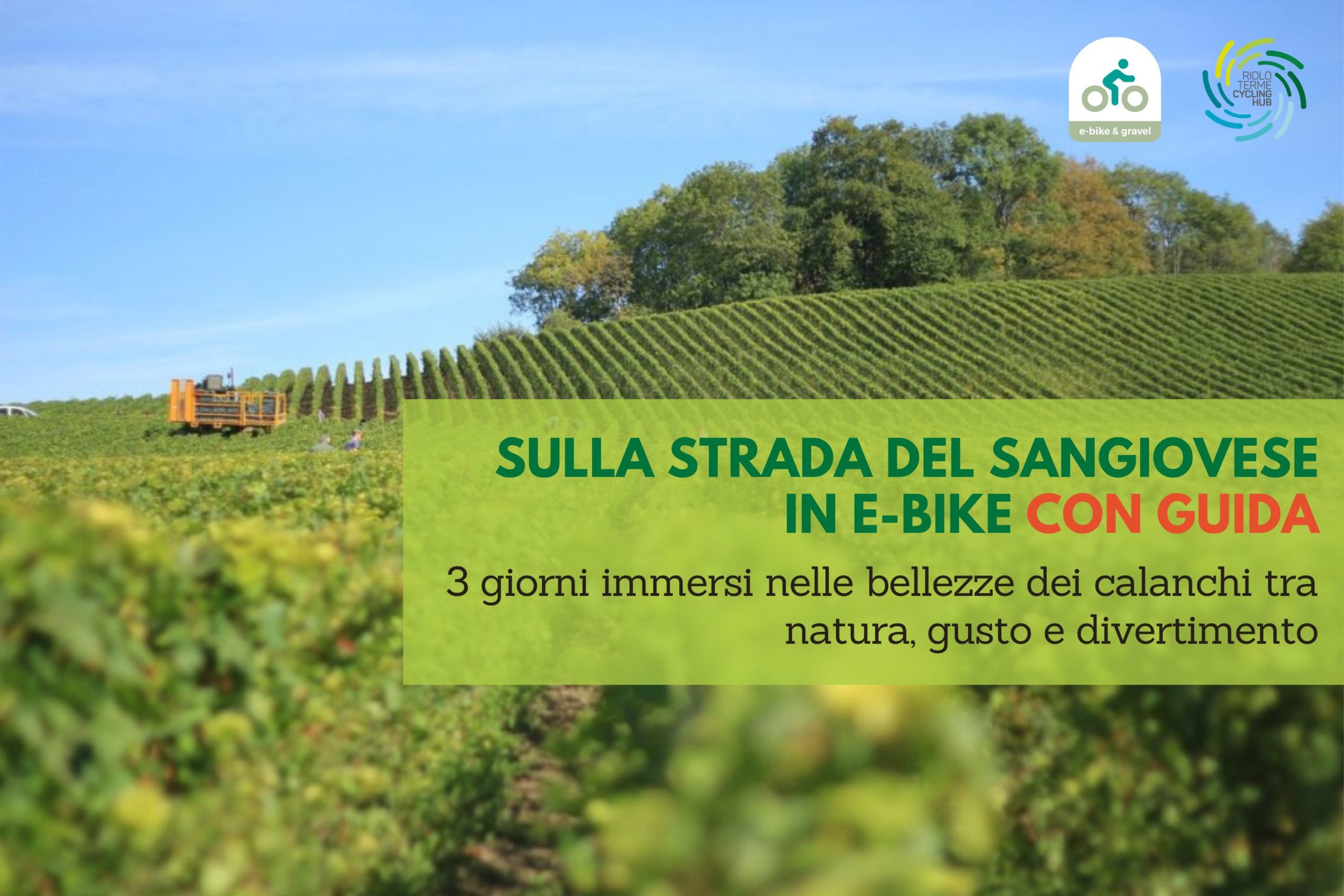 sulla-strada-del-sangiovese-in-e-bike-con-guida